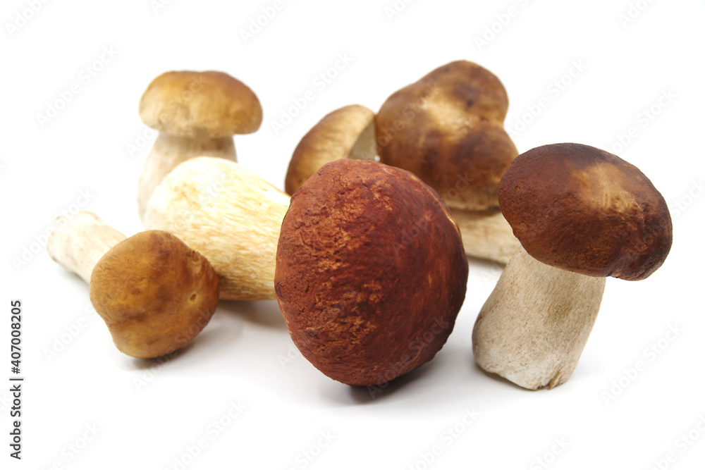 Boletus mushrooms on a white background. Boletus prepared for cooking. Boletus edulis. Closeup Boletus mushrooms on a white background. Boletus prepared for cooking. Boletus edulis. Closeup
