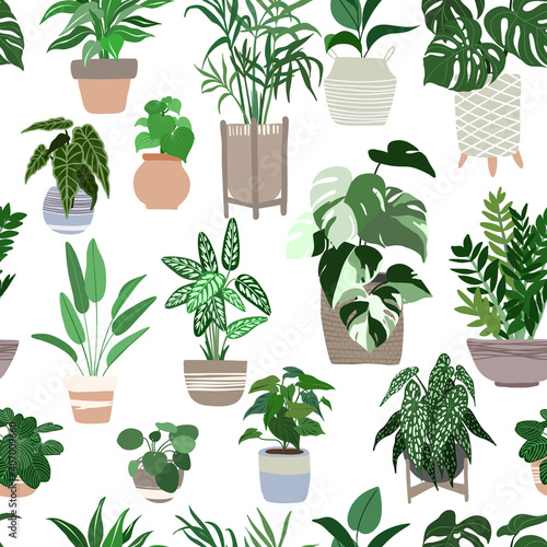 Indoor plants seamless pattern, hand drawn flat