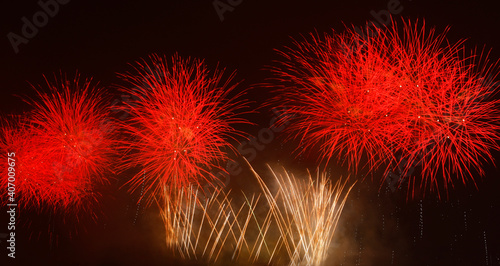 Fireworks blooming on the night sky 