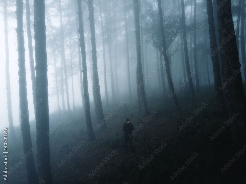 Fog in the forest in winter In nature alone Fog in the forest in winter In nature alone