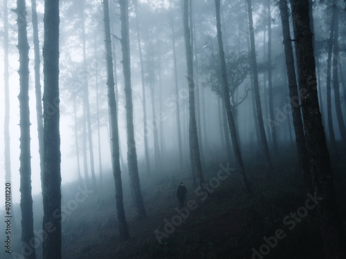 Fog in the forest in winter In nature alone