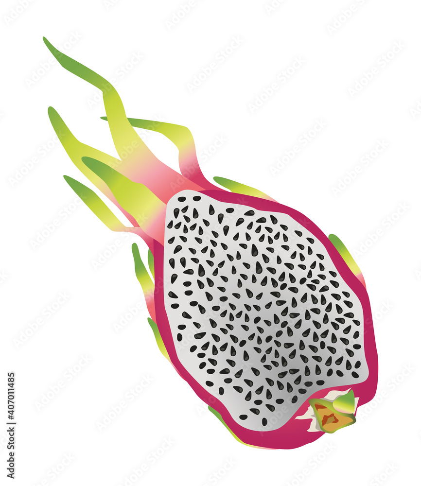 fresh and delicious dragon fruit half exotic icon fresh and delicious dragon fruit half exotic icon