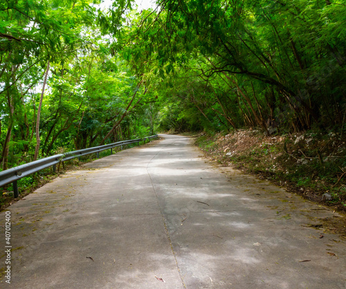 road in tunnel tree at srichang island, Chonburi, Thailand
