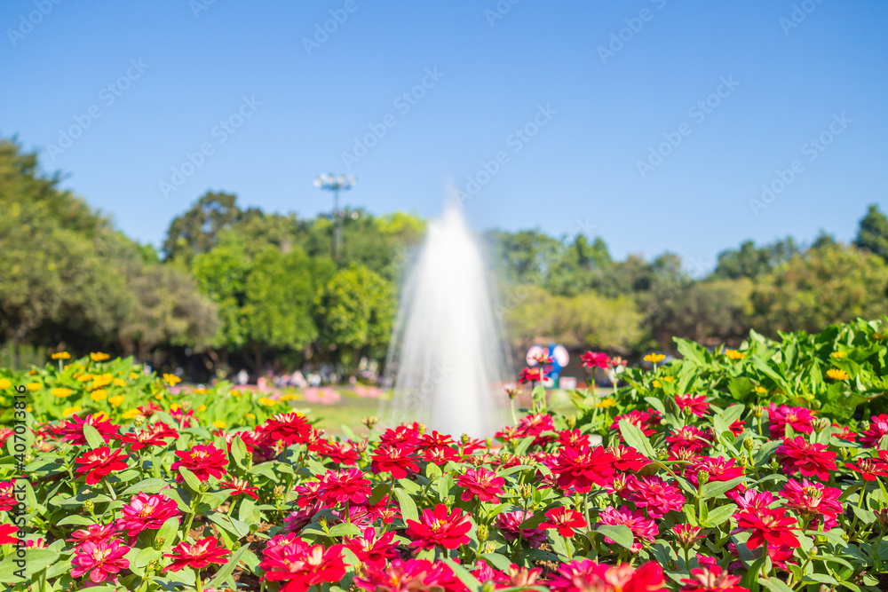 Naklejka premium Beautiful scenic view of flowers with fountain background. Landscape nature. Concept of nature and relaxation.