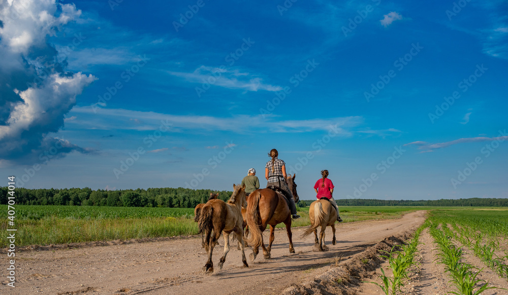 Three village girls are riding horses along a field road. Photographed from behind.