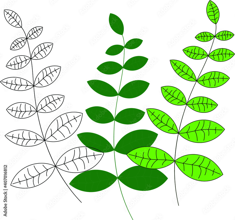 Obraz premium Botanical color set. Branches of trees with different color, branch line, branch with fill, branch with stroke and fill .Natural graphic elements for your design , greeting cards
