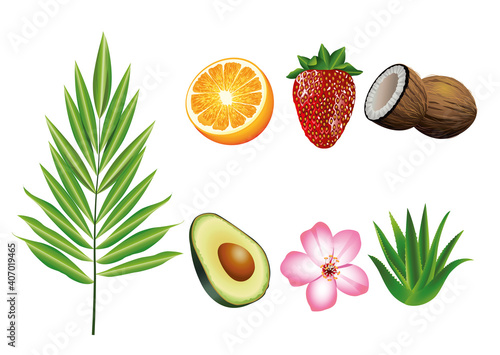 Fototapeta Naklejka Na Ścianę i Meble -  bundle of seven tropical fruits and plants set icons