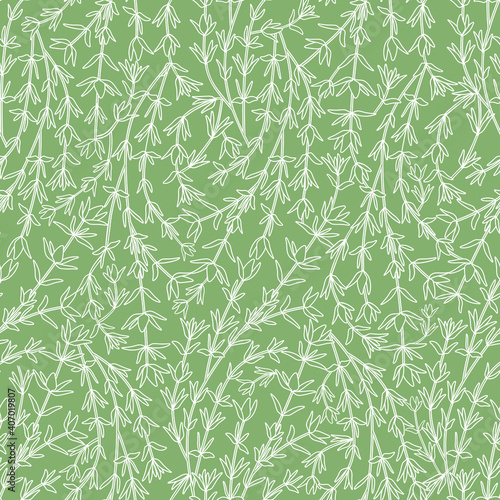 Fototapeta Naklejka Na Ścianę i Meble -  Seamless Pattern with Thyme Stems and Leaves on Green Background.
