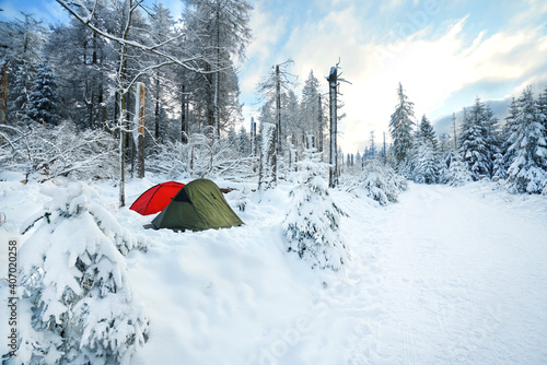 Fototapeta Naklejka Na Ścianę i Meble -  Camping im Winterwald