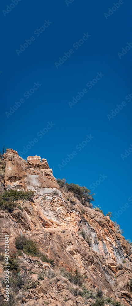 Wild goats over the rocks under clear sky