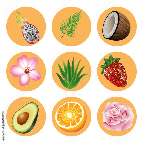 Fototapeta Naklejka Na Ścianę i Meble -  bundle of nine tropical fruits and plants set icons