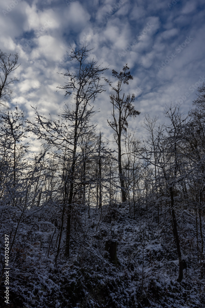 Schöner, verschneiter Wald im Kraichgau, Deutschland