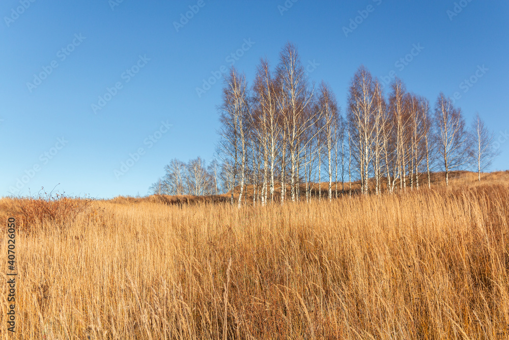 Bautiful landskape nature in winter Bautiful landskape nature in winter