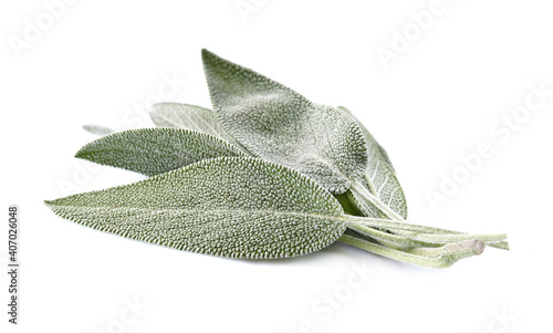 Foto Sage leaves isolated on white background cutout