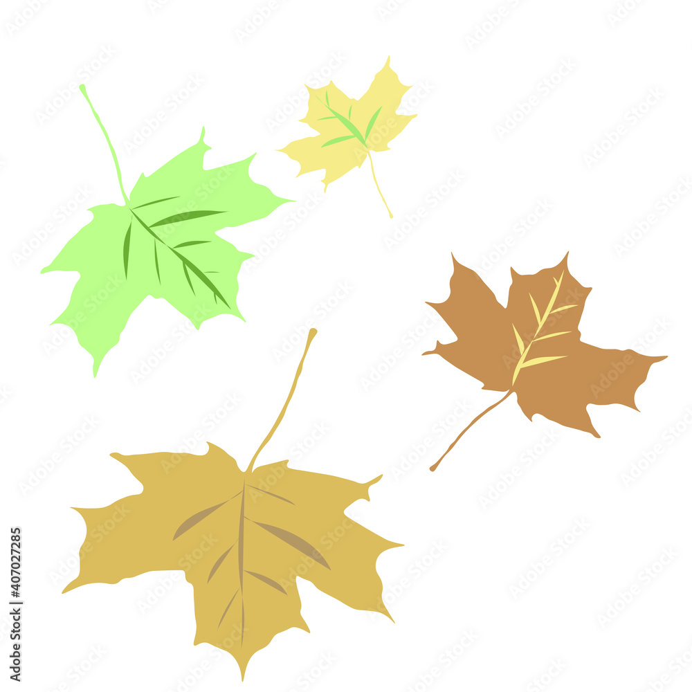 Autumn leaves on a white background Autumn leaves on a white background