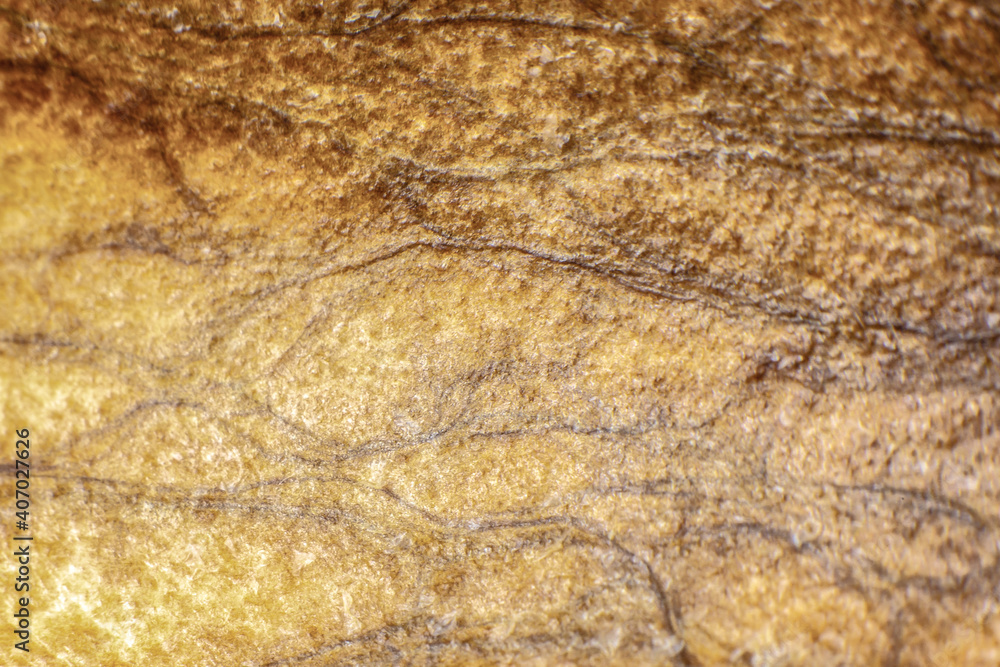 Natural texture of avocado inside. Eco background. Close up. Natural texture of avocado inside. Eco background. Close up.