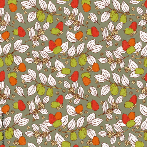 Floral seamless pattern. Exotic tropical fruit Jujube sometimes Ziziphus jujuba or zizyphus, red date, Chinese date, Korean date, Indian date. Leaves, Flowers, Berries. Medicinal plant
