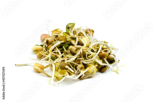 Mung bean sprouts isolated on white background