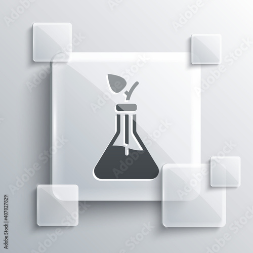 Grey Plant breeding icon isolated on grey background. Plants growing in the test tubes. Organic food ,agriculture and hydroponic. Square glass panels. Vector.