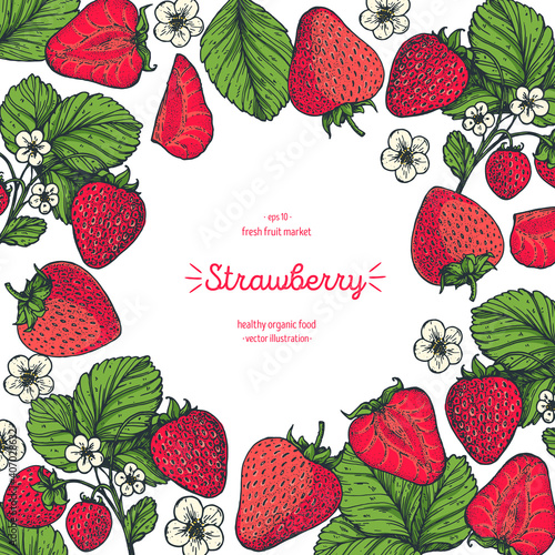 Strawberry frame, hand drawn vector illustration. Strawberries design template . Strawberry hand drawing