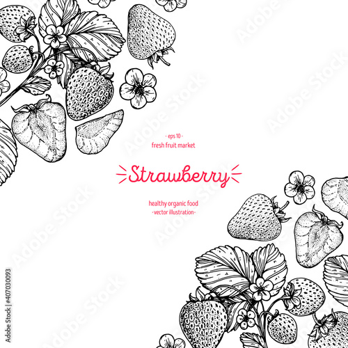 Strawberry sketch frame, hand drawn vector illustration. Strawberries design template . Strawberry hand drawing