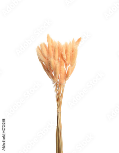 Bouquet of dried flowers on white background