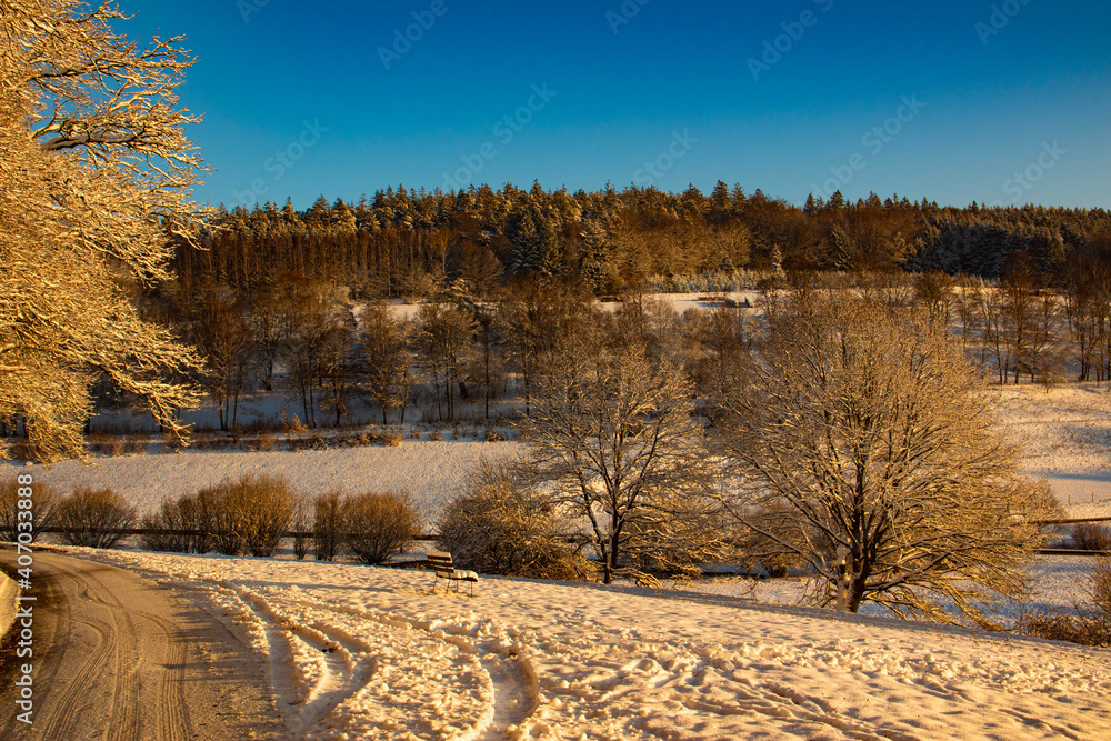 Obraz premium winter in the forest