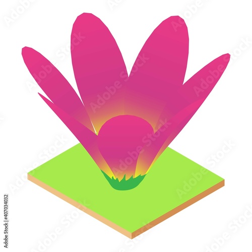 Summer flower icon. Isometric illustration of summer flower vector icon for web