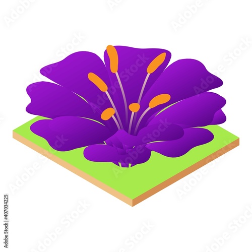 Violet flower icon. Isometric illustration of violet flower vector icon for web