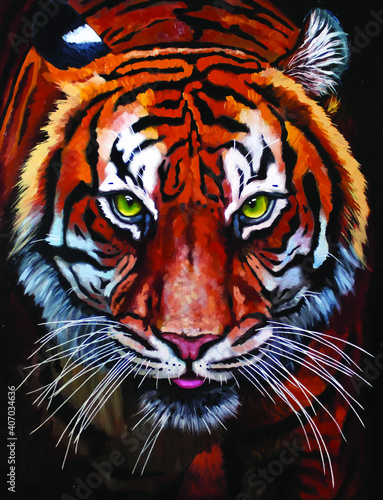 tiger face  © Валерия Гранд