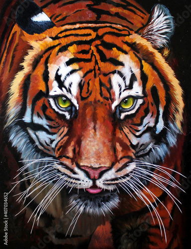 tiger