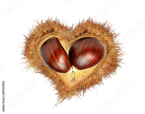 chestnuts nest isolated for love hearts valentines 