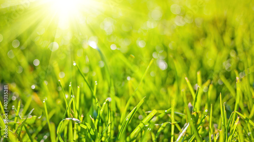 Spring nature background with green grass, sun and bokeh