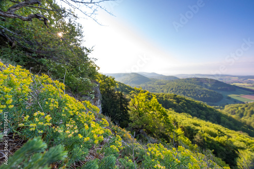 Hohenstein (Süntel) im Weserbergland, Landkreis Hameln-Pyrmont photo