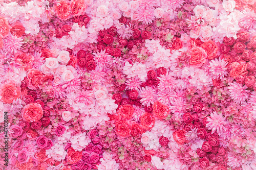 beautiful flowers on the wall