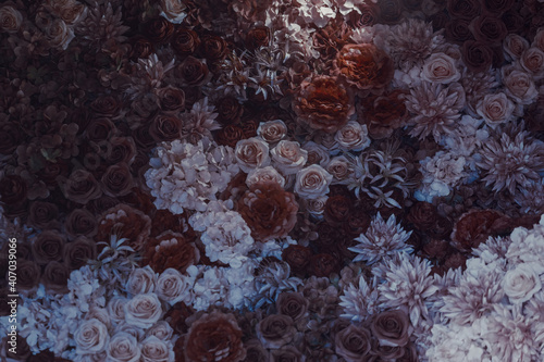 beautiful flowers on the wall