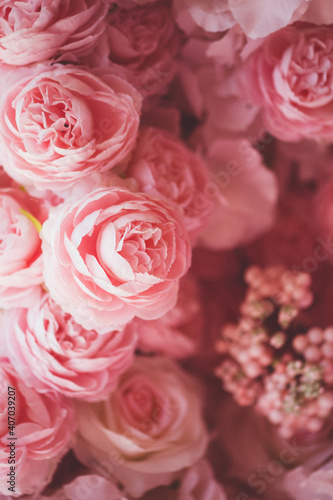 beautiful flowers on the wall