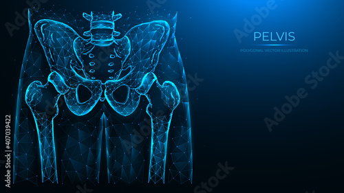 Abstract polygonal vector illustration pelvis and hip. X ray of the hip joint made from lines and dots, isolated on a blue background.