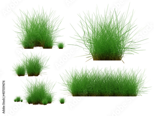 Grass isolated on white background. 3d rendering illustration. © moderngolf1984