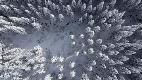 ein tief verschneiter wald aus der vogelperspektive draufsicht bei eisig kalter athmosphäre