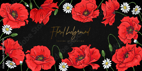 Floral background with red poppies and daisies. Vector illustration photo