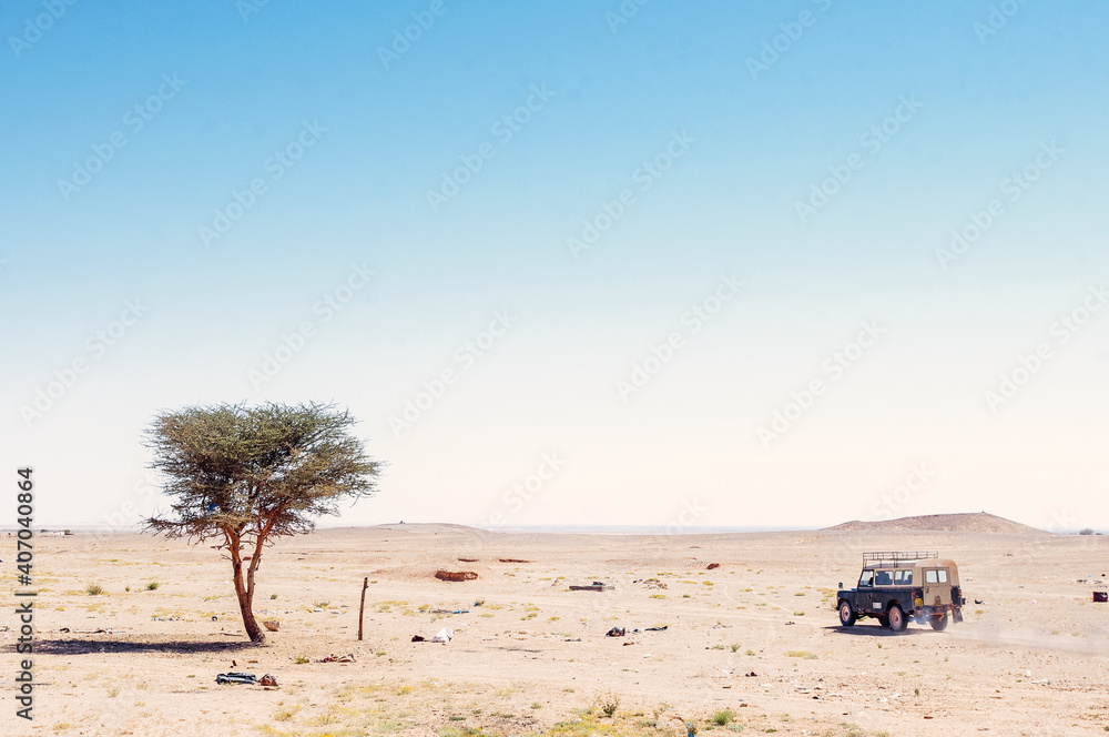 4x4 driving in the middle of the dessert behind a sunny day with a solitary acacia
