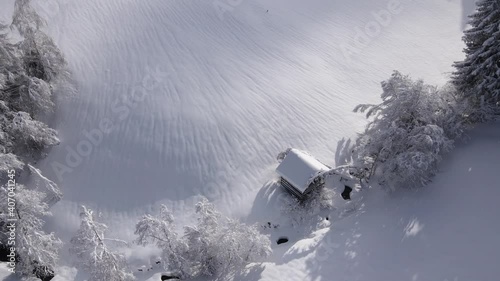 eine tief verschneite hütte mit umgefallenem baum auf dem dach
