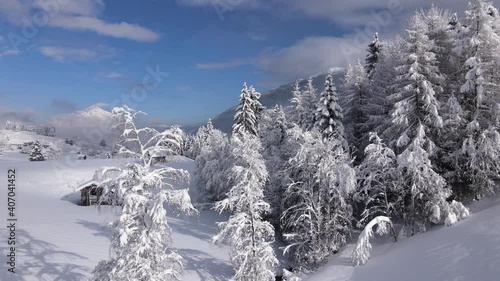 eine eisig und tief eingeschneite baumgruppe mit holzhütte im hintergrund bei blauem himmel