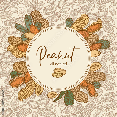 Logo frame with Peanut, nuts and leaves. Graphic hand drawn engraving style. Botanical illustration for packaging, menu cards, posters, prints, label.