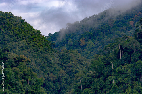 The beautifull jungle around the Royal Belum state park in maleisia