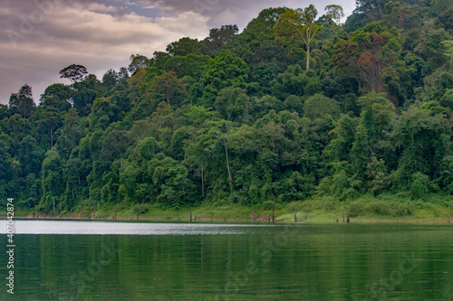 The beautifull jungle around the Royal Belum state park in maleisia