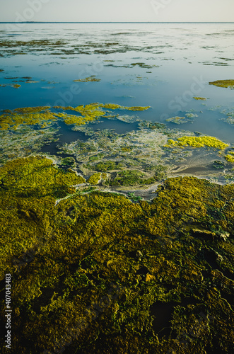 Canvas Print ecological catastrophy