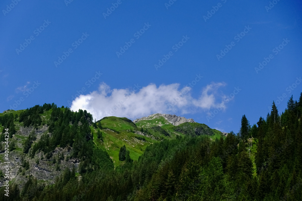 green mountains with many trees and beautiful weather
