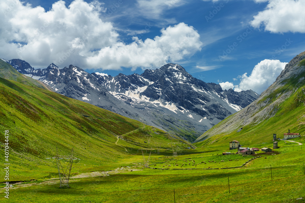 Fototapeta premium Mountain landscape along the road to Stelvio pass (Lombardy) at summer